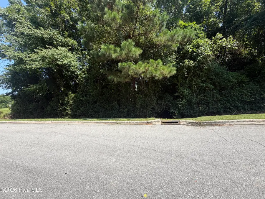 260 Sylvester Street, Richlands, NC 28574 - #3