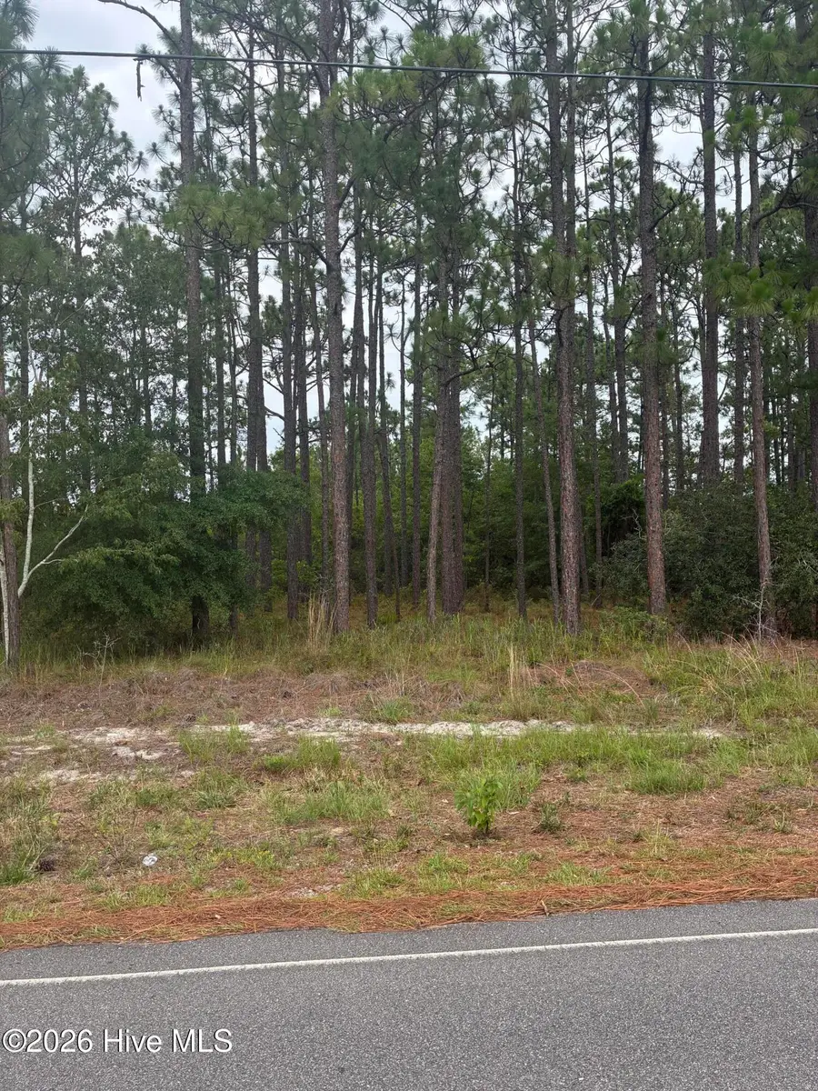 Lot 3 Crystal Road, Southport, NC 28461 - #2