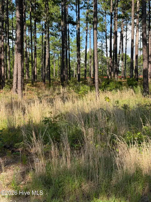 481 N Fort Bragg Road, Southern Pines, NC 28387