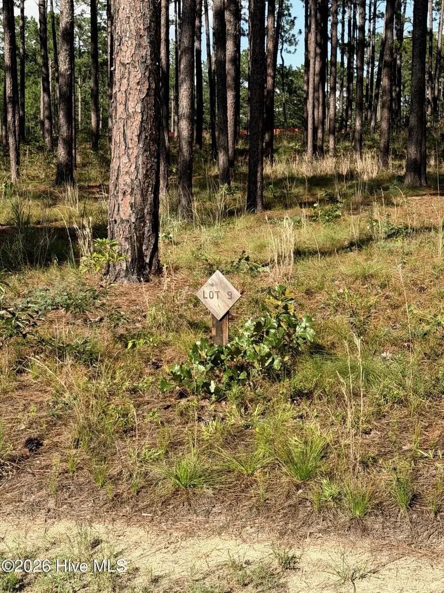 481 N Fort Bragg Road, Southern Pines, NC 28387 - #2
