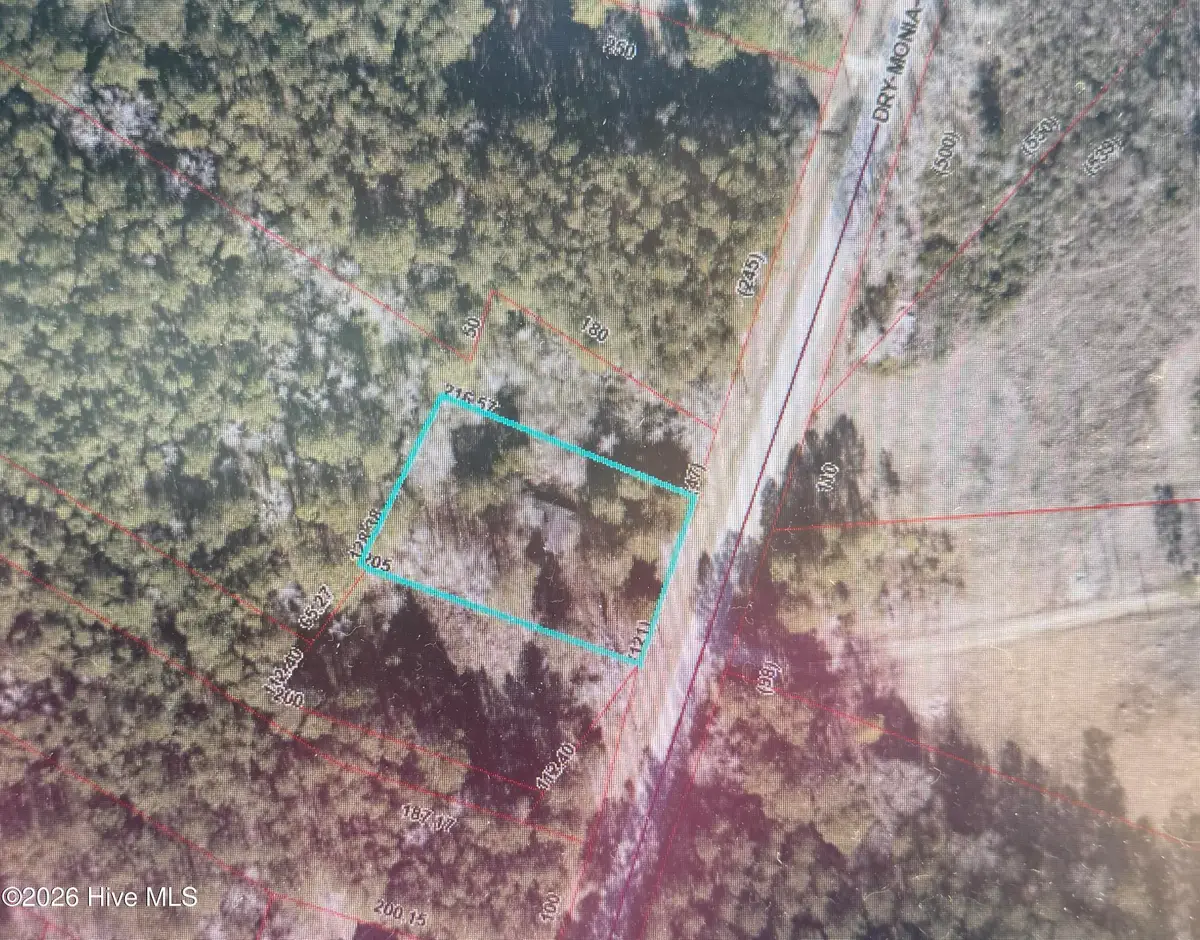 809 Dry Monia Road, New Bern, NC 28562 - #1