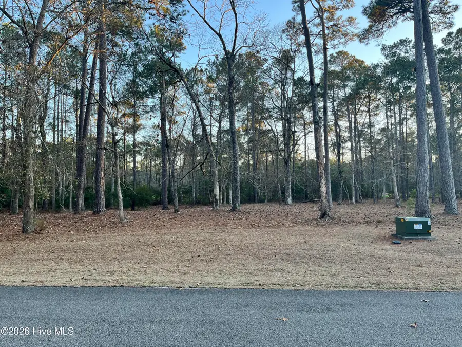822 Loblolly Drive Sw, Shallotte, NC 28470 - #3