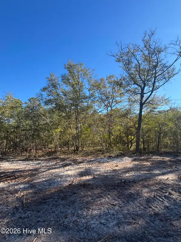 Lot 121 Coral Gull Street, Southport, NC 28461