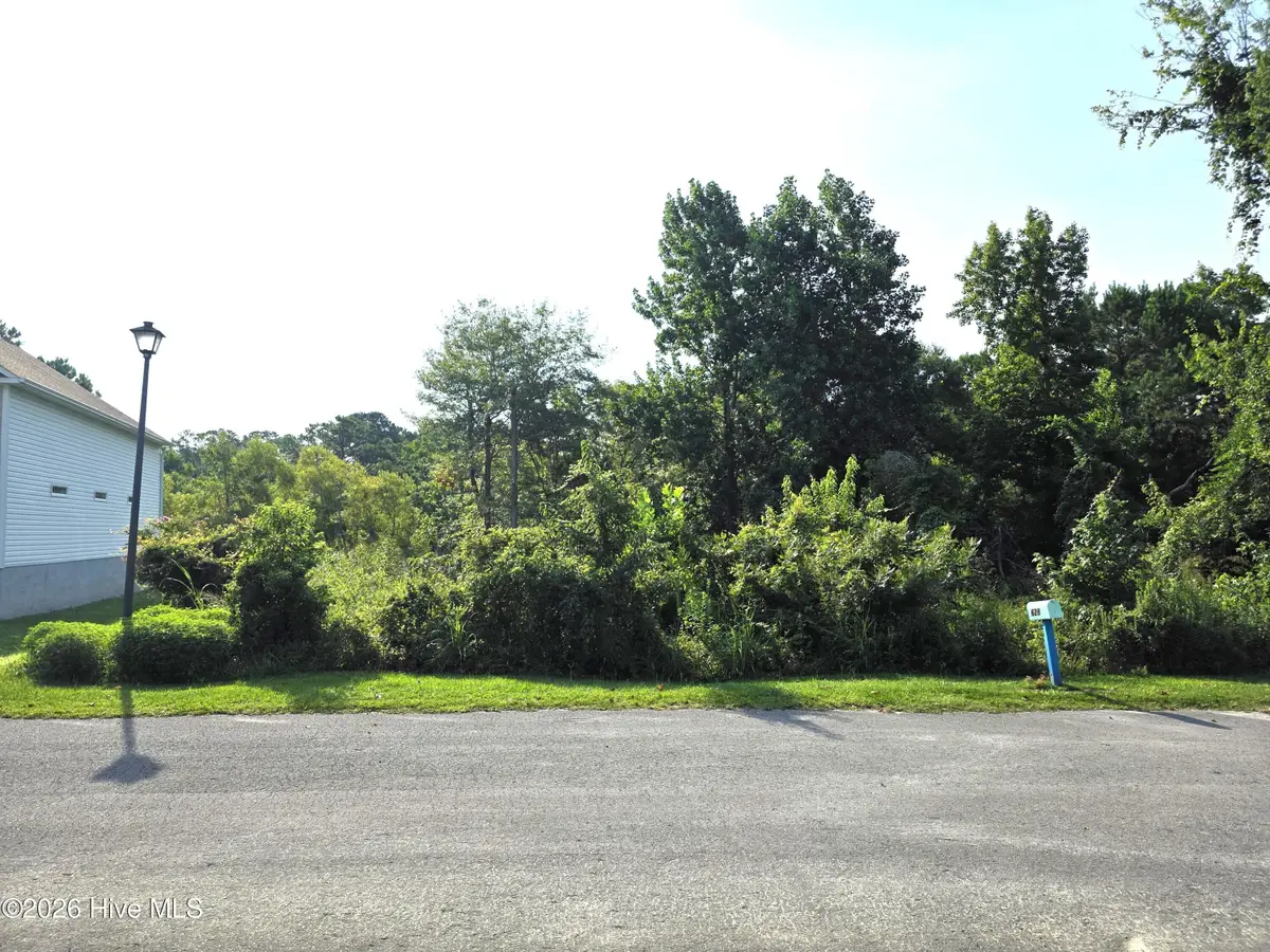 633 Riva Ridge Road, Sneads Ferry, NC 28460 - #1