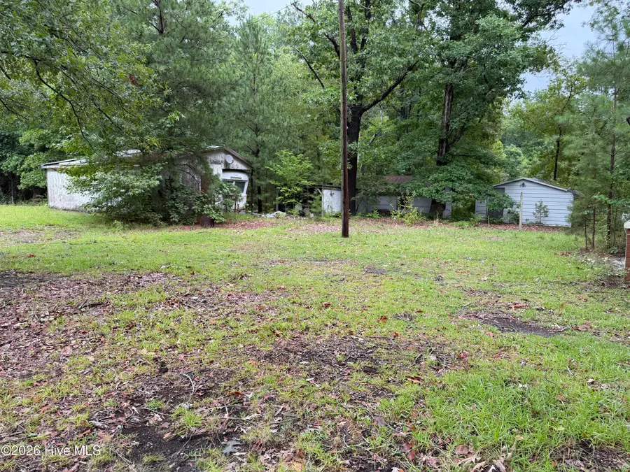 235 Bryant Road, Carthage, NC 28327 - #3