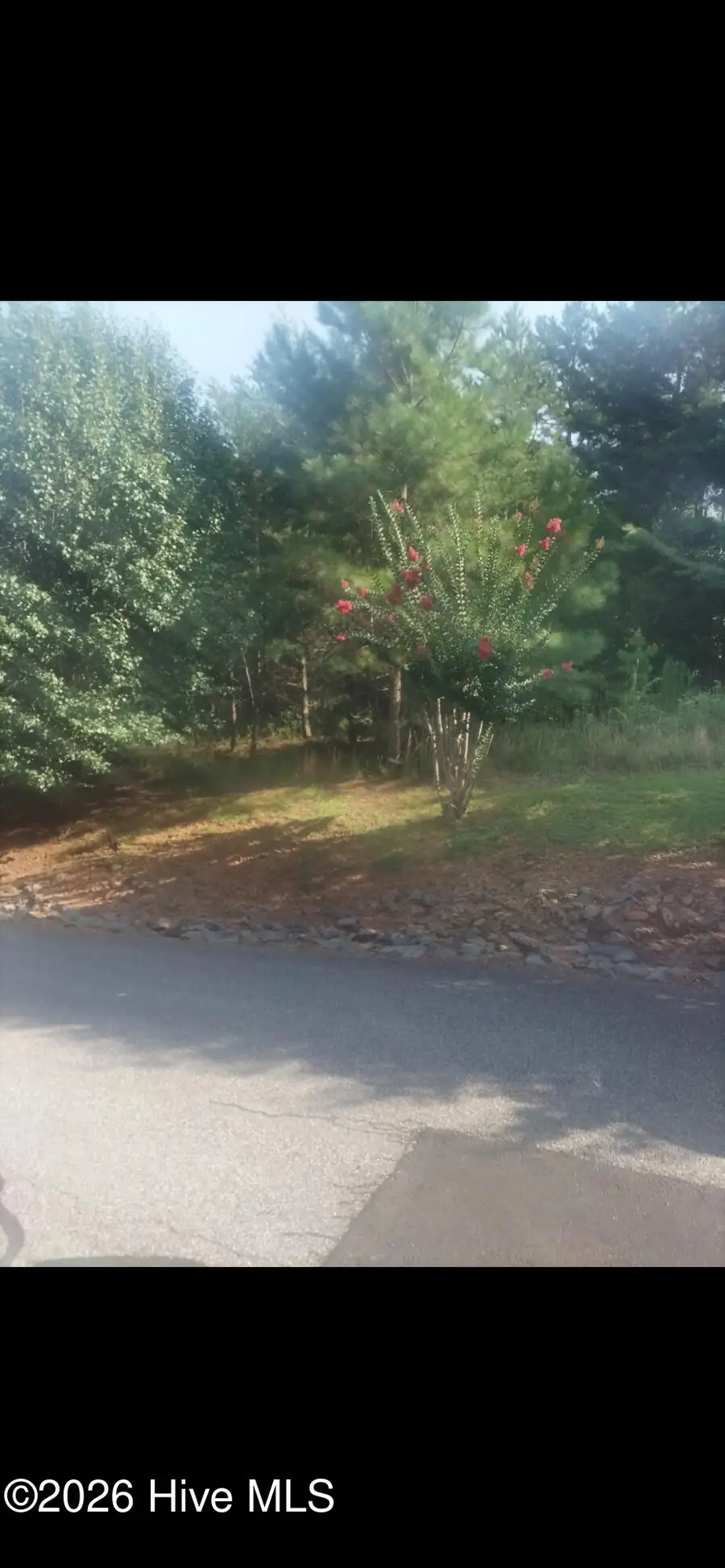 3 Dasali Way, Murphy, NC 28906 - #3