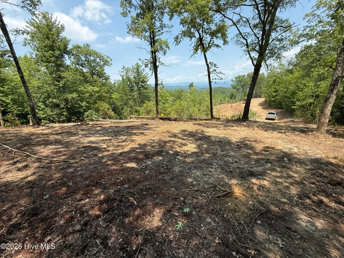 8 Avalon Crst Street, Murphy, NC 28906 - #1