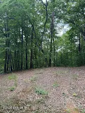 Lot #46 Pine Cove Lane, Murphy, NC 28906 - #1