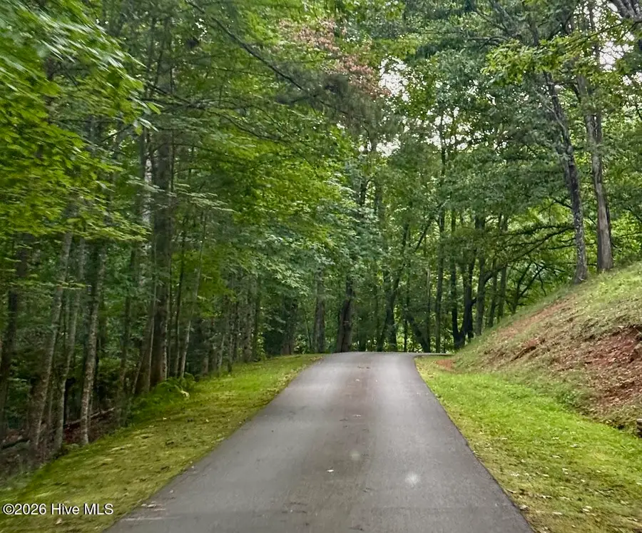 Lot #46 Pine Cove Lane, Murphy, NC 28906 - #2