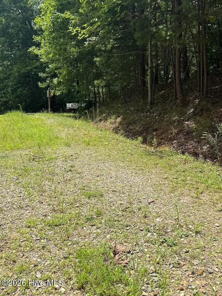 Lot #46 Pine Cove Lane, Murphy, NC 28906 - #3