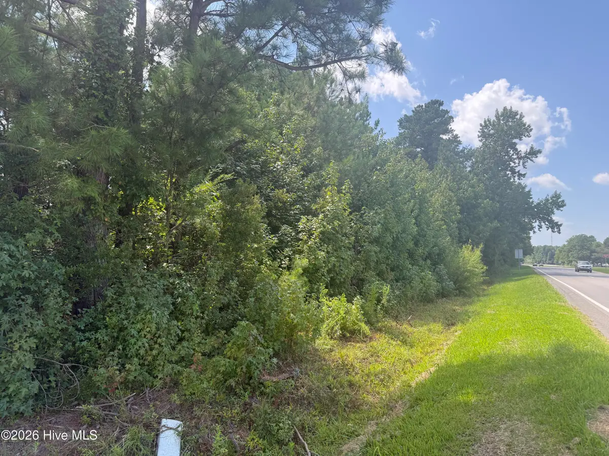 Near 26880 Near 26880 Andrew Ja Highway E, Delco, NC 28436 - #1