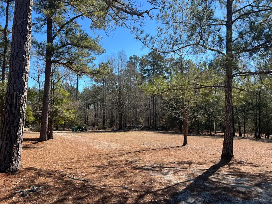 2369 Pine Ridge Drive, Appling, GA 30802 - #3