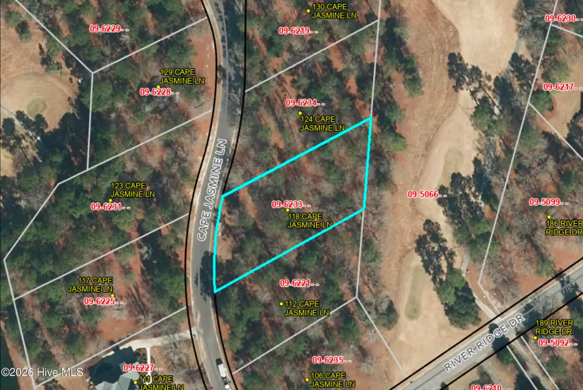 118 Cape Jasmine Lane, Wallace, NC 28466 - #1