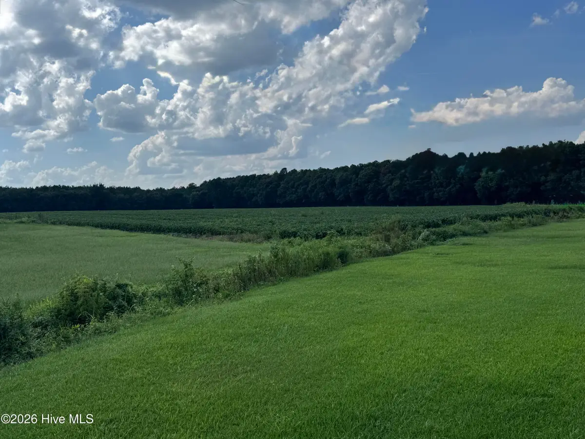 252 Haw Branch Road, Richlands, NC 28574 - #1