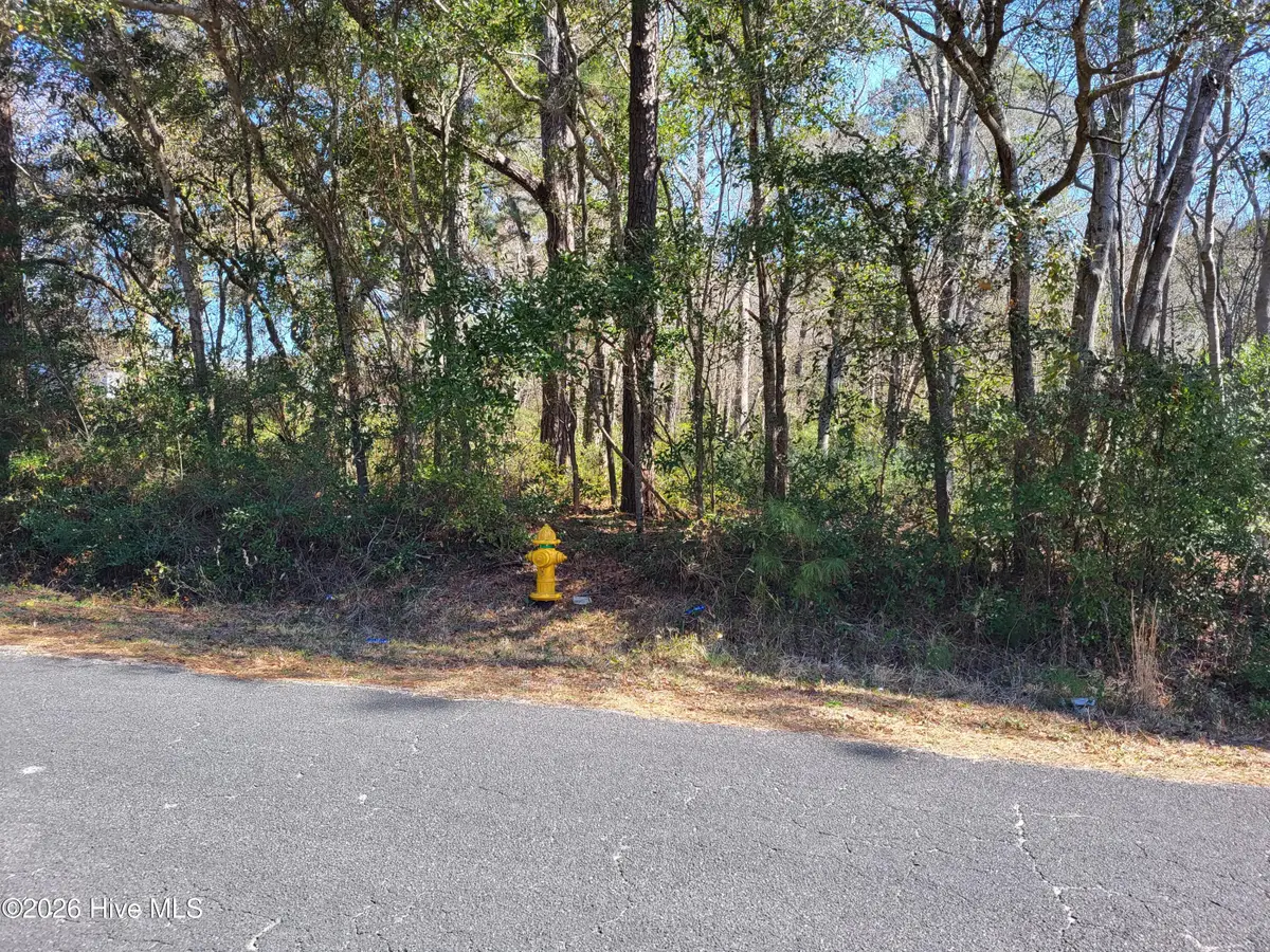 0 Shell Landing Road Sw, Supply, NC 28462 - #1