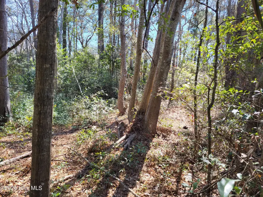 0 Shell Landing Road Sw, Supply, NC 28462 - #2