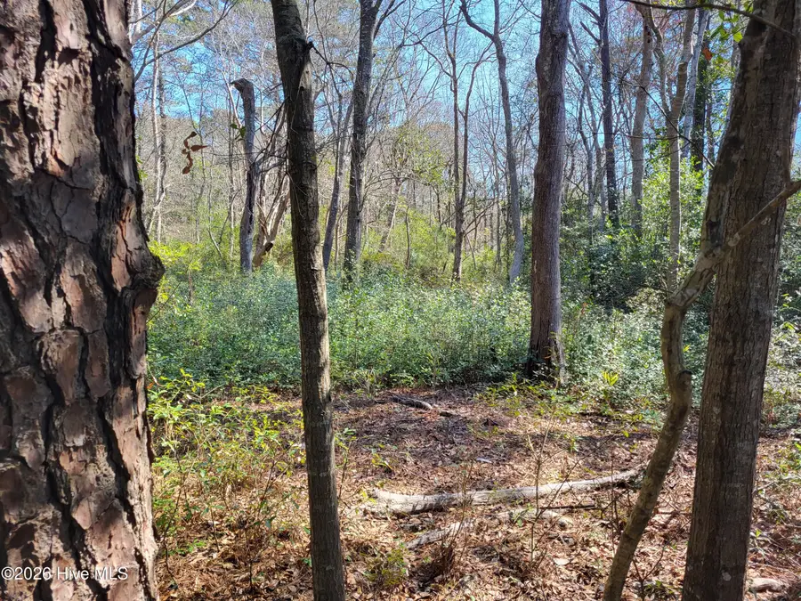 0 Shell Landing Road Sw, Supply, NC 28462 - #3