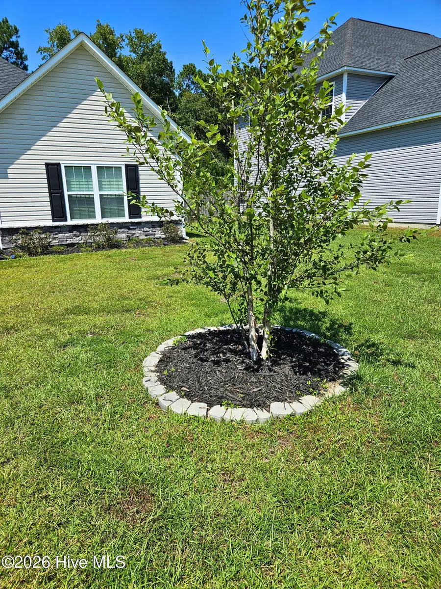462 Water Wagon Trail, Jacksonville, NC 28546 - #3