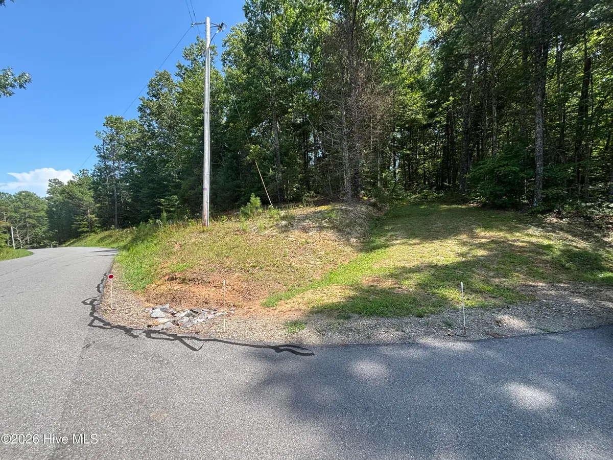 4 Majestic Mountain Trail, Murphy, NC 28906 - #1