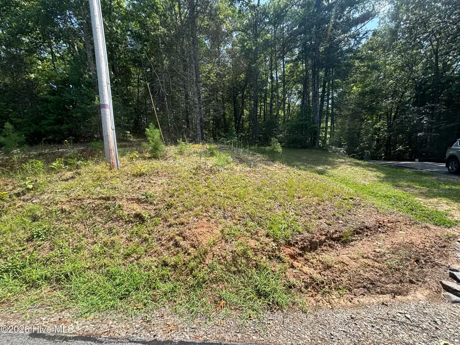 4 Majestic Mountain Trail, Murphy, NC 28906 - #3