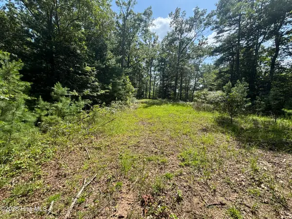 5 Majestic Mountain Trail, Murphy, NC 28906