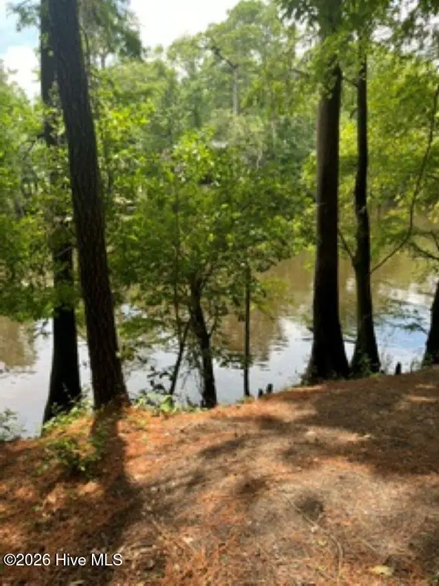 13 Riverview Drive, Burgaw, NC 28425 - #2