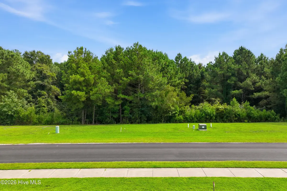 326 Spicer Lake Drive, Holly Ridge, NC 28445 - #1