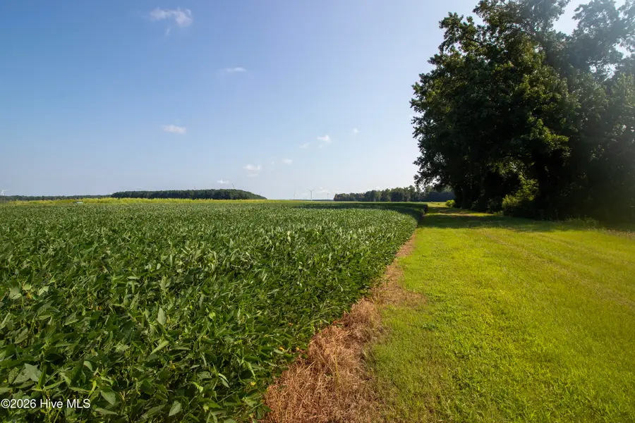 00 Swamp Road, Hertford, NC 27944 - #2