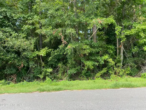 325 Trelawney Court, Wilmington, NC 28411