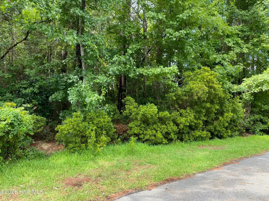 325 Trelawney Court, Wilmington, NC 28411 - #2