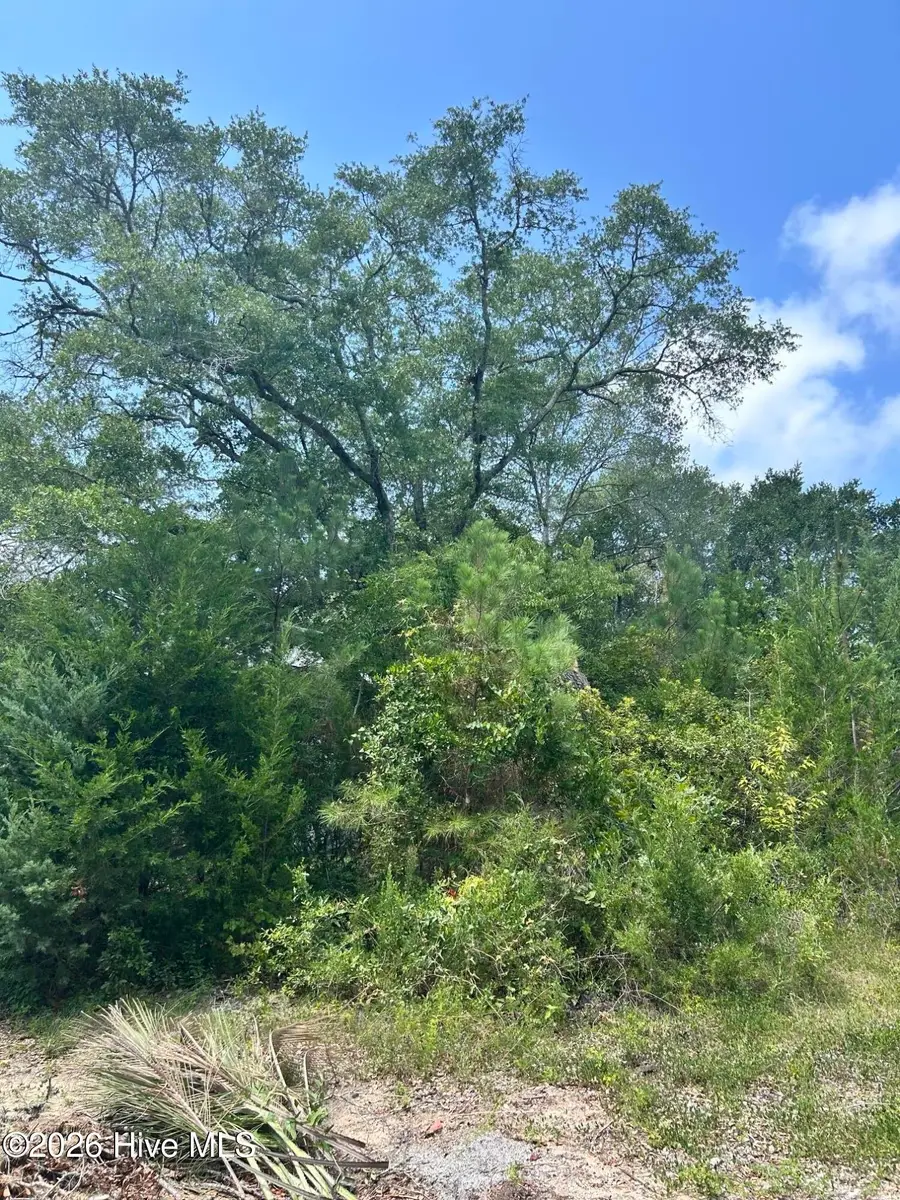 105 SE 8th Street, Oak Island, NC 28465 - #2