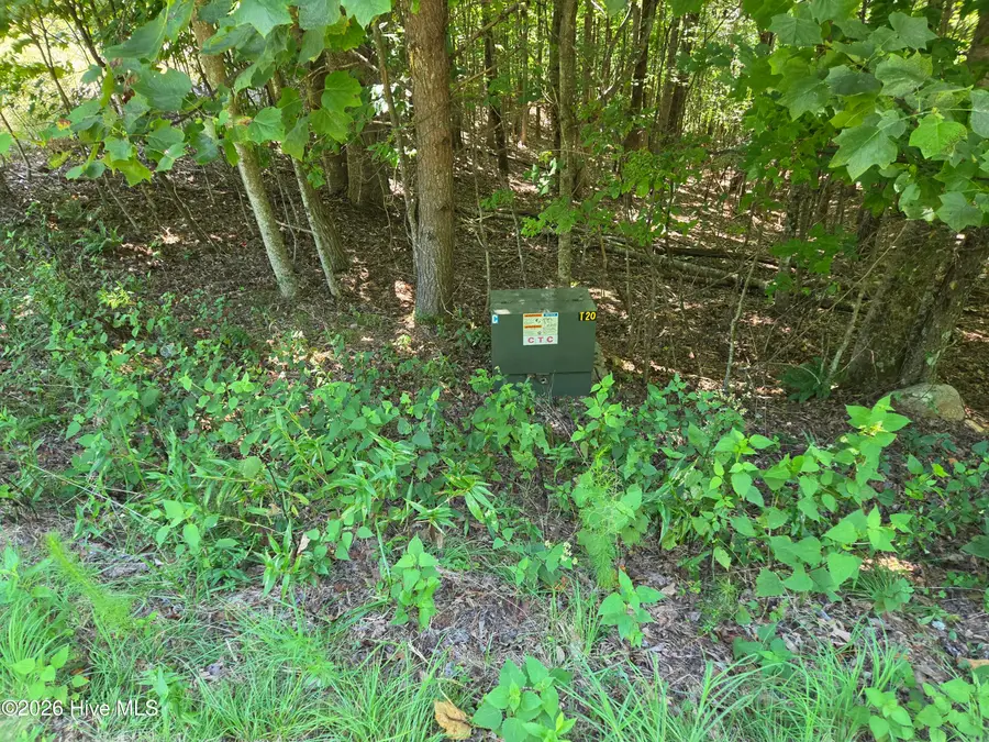 Lot 69 Collins Court, Murphy, NC 28906 - #3
