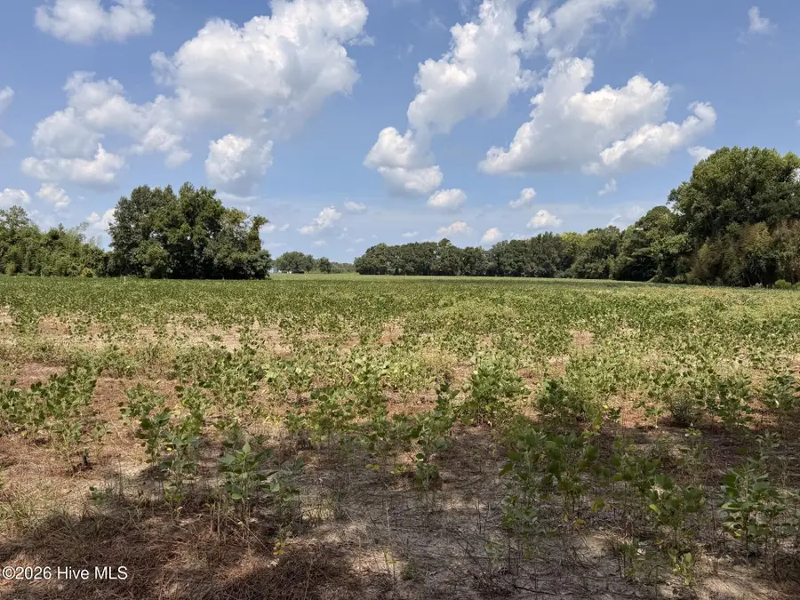 685 Snake Road, Lumberton, NC 28358 - #2