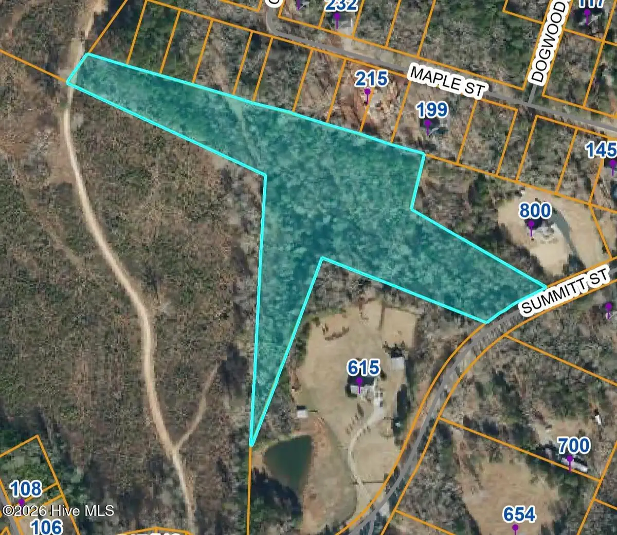 Tbd Summit Street, Carthage, NC 28327 - #1