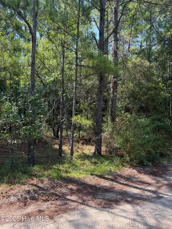 2861 Robin Drive Sw, Shallotte, NC 28470