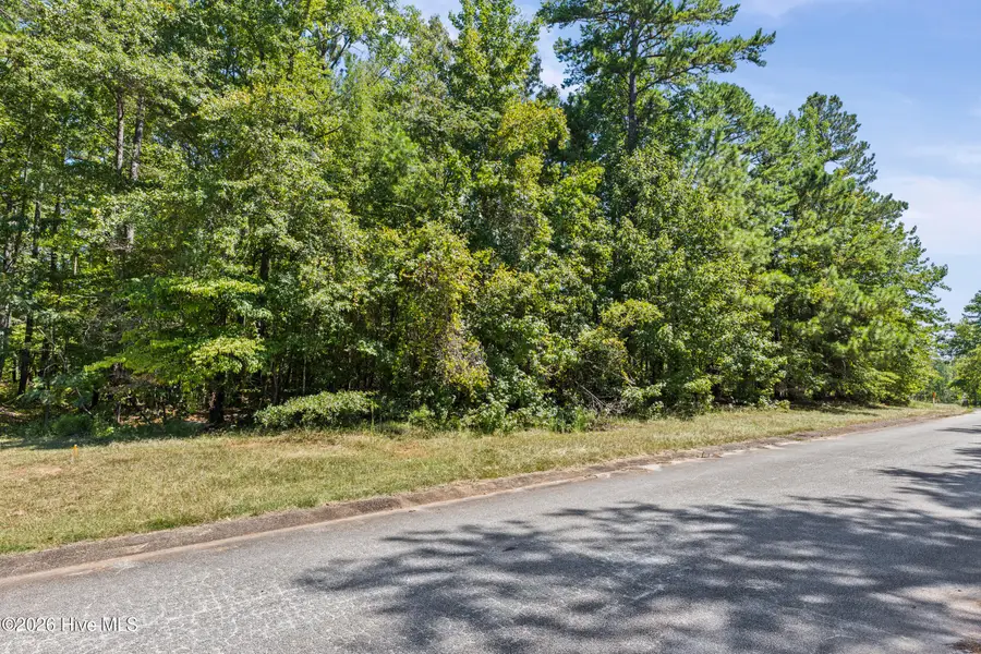 1384 Tanyard Creek Drive, Thomson, GA 30824 - #2