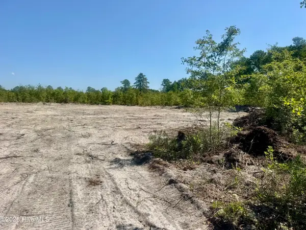 0 Dowd Dairy Road, White Oak, NC 28399