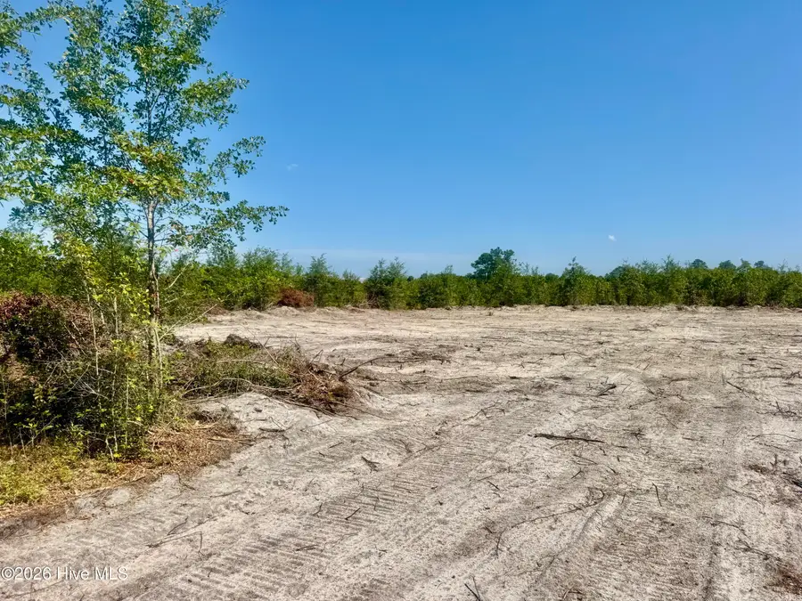 0 Dowd Dairy Road, White Oak, NC 28399 - #2