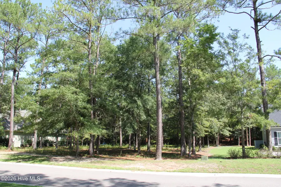 168 Lockhaven Drive Se, Bolivia, NC 28422 - #2