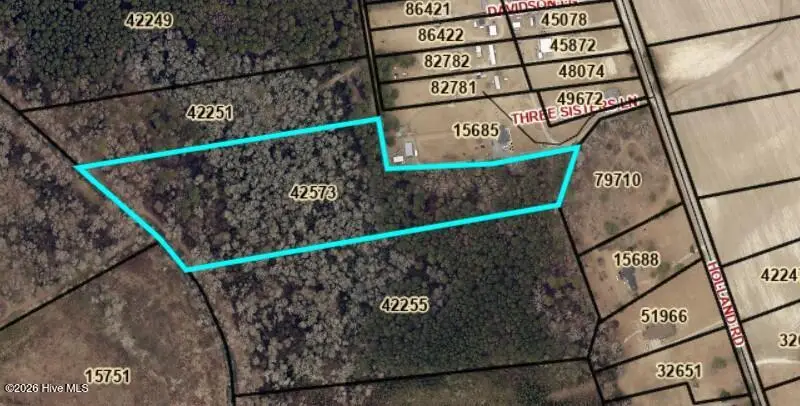 Lot 3a Holland Road, Greenville, NC 27834 - #1
