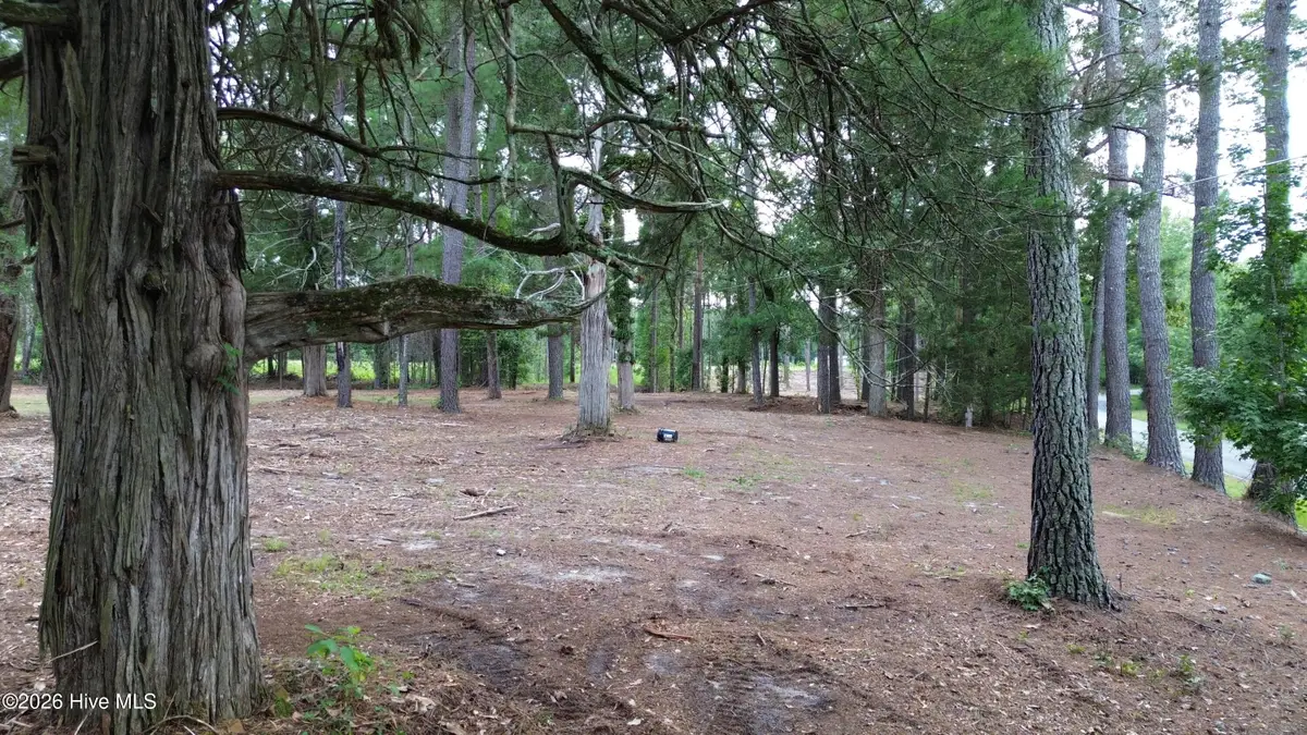 Tbd/Lot 2 Elmore, Laurinburg, NC 28352 - #1