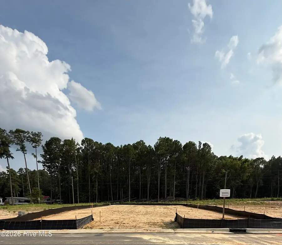 131 White Bark Avenue #Lot 16, Rocky Mount, NC 27804 - #2
