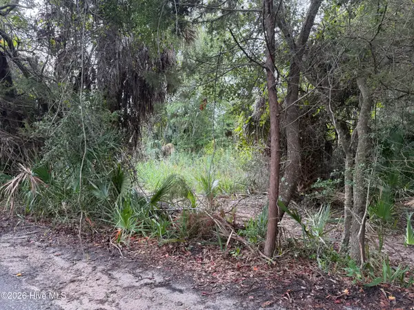 12 Captain Charlies Court, Bald Head Island, NC 28461