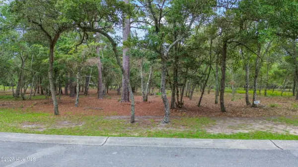 676 Parish Drive Sw, Supply, NC 28462