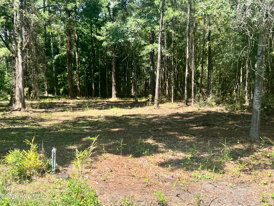 Lot 3 Elm Street, Belhaven, NC 27810 - #2