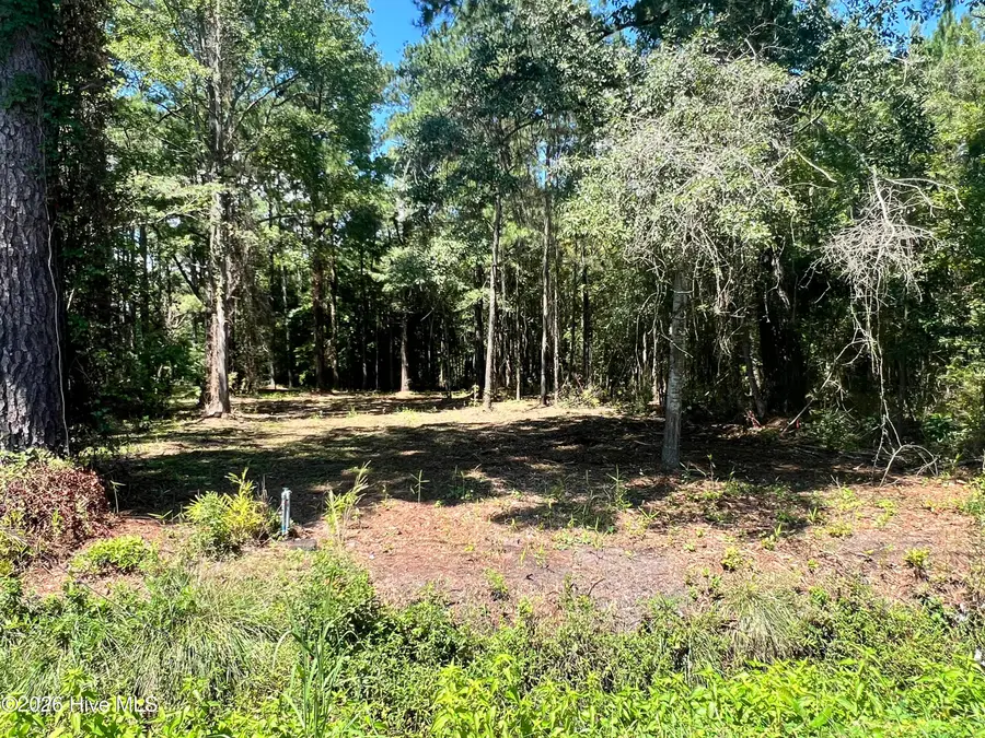 Lot 4 Elm Street, Belhaven, NC 27810 - #3
