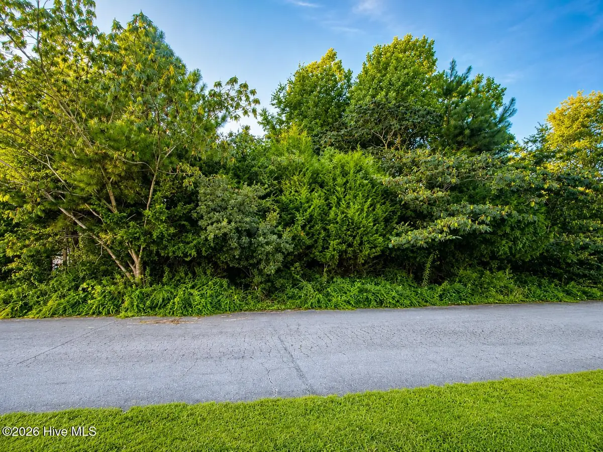 114 Cherrybark Drive, Jacksonville, NC 28540 - #1