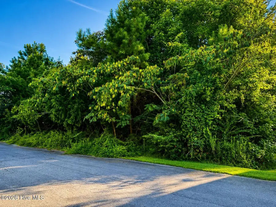 114 Cherrybark Drive, Jacksonville, NC 28540 - #2