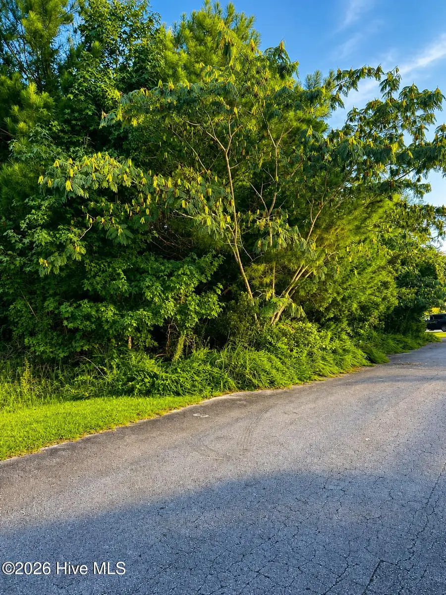 114 Cherrybark Drive, Jacksonville, NC 28540 - #3