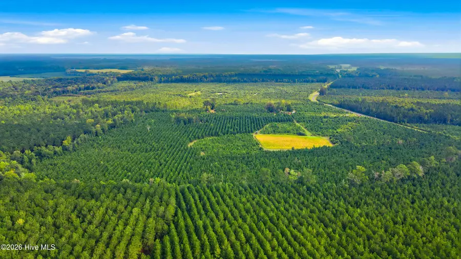 795 Pollard Swamp Road, Vanceboro, NC 28586 - #3
